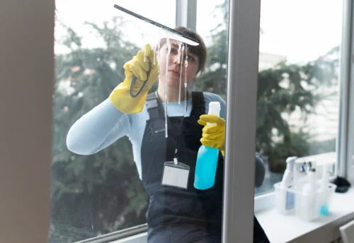 Nettoyage de vitres intérieures et extérieures à Dunet